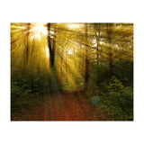 Nature (Print Only) thumbnail