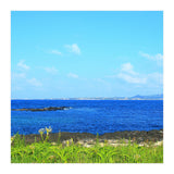 Beach (Print Only) thumbnail
