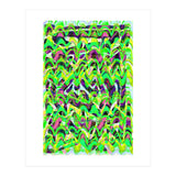 New Graffiti B 3 (Print Only) thumbnail