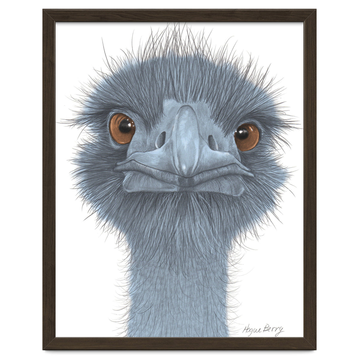 The Blue Emu
