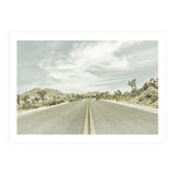 Joshua Trees, Park Boulevard | Vintage (Print Only) thumbnail