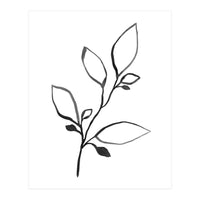 Ink Plant (Print Only)