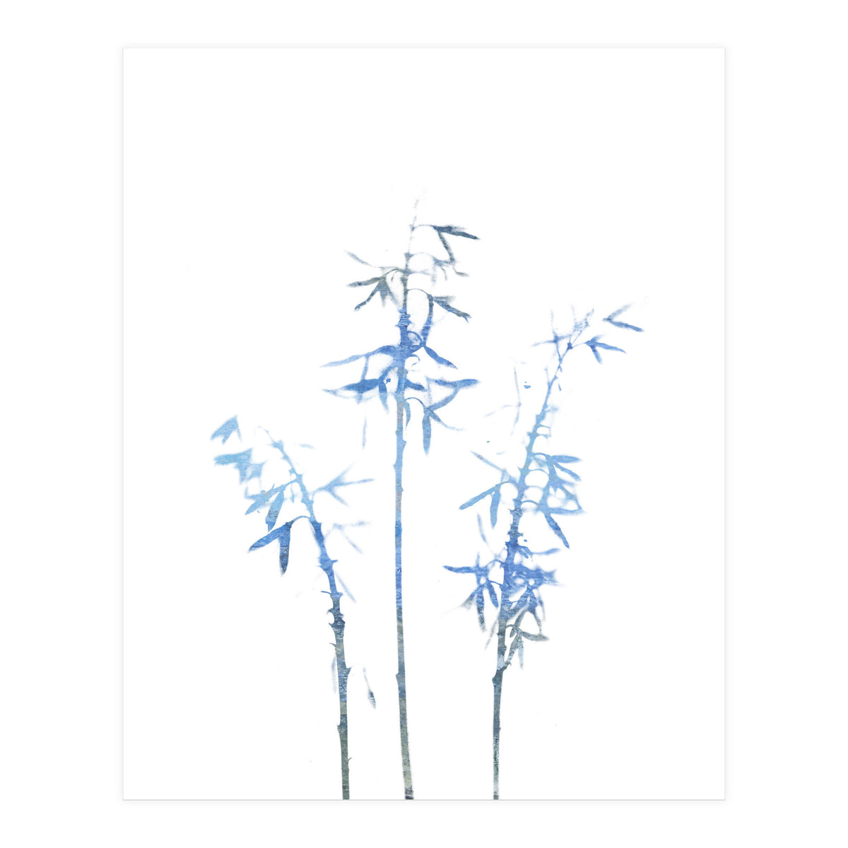 Blue Hosta (Print Only)