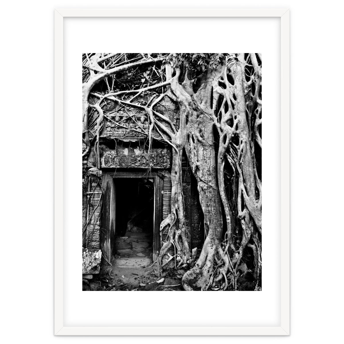 Ta Prohm Temple, Cambodia