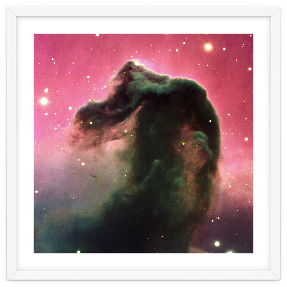 The Horsehead Nebula