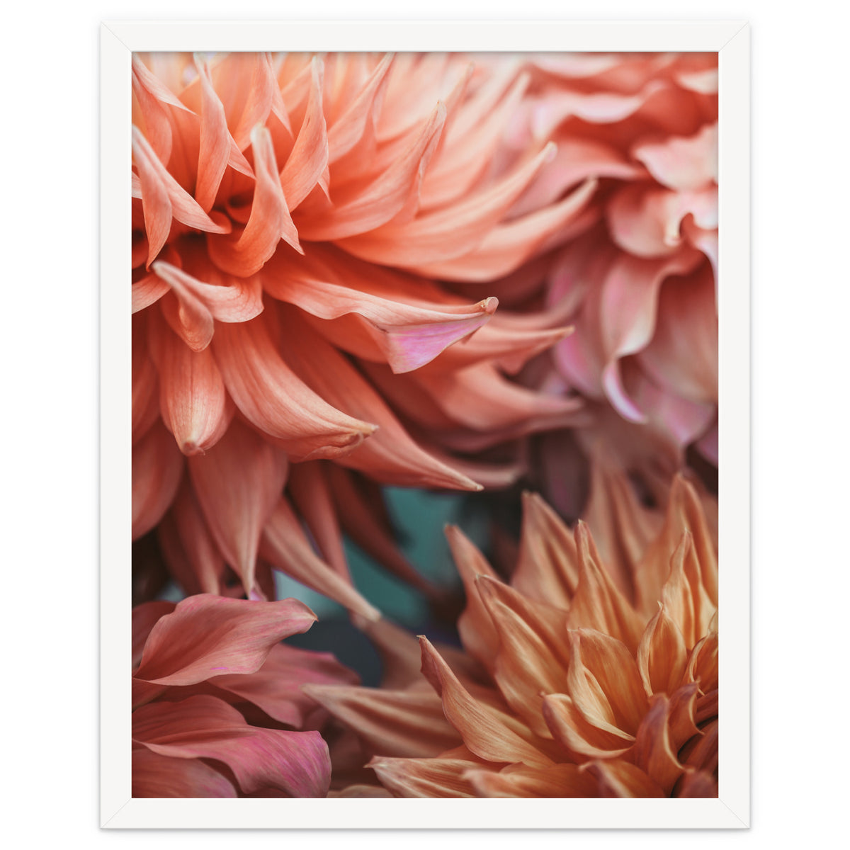 Vintage Dahlia