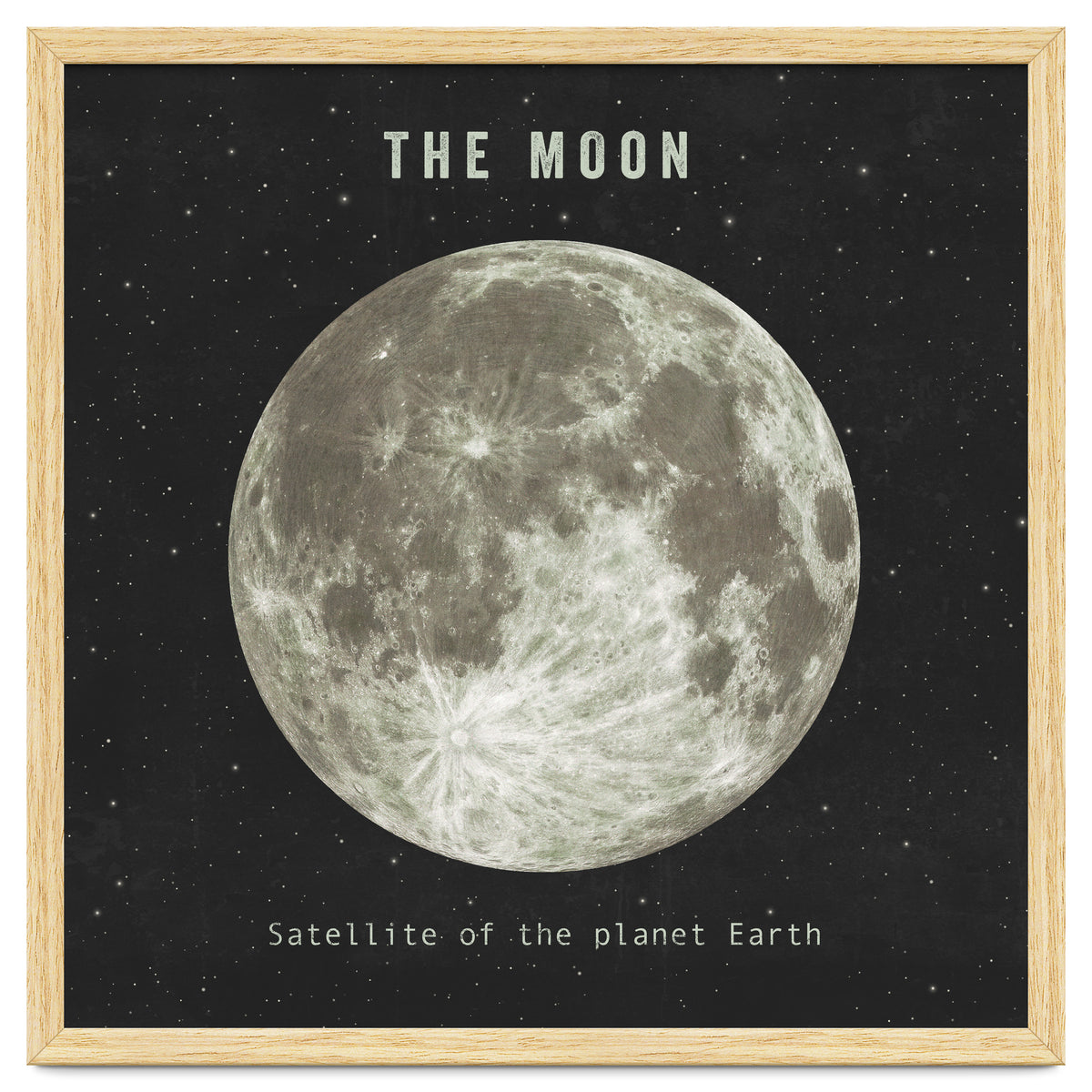 The Moon