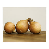 Onions (Print Only)