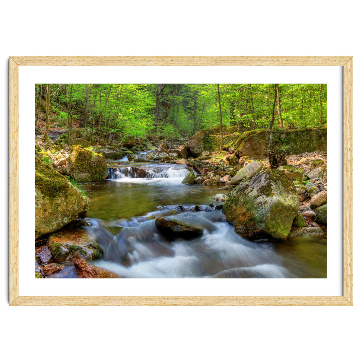 Spring At Harz Moutain