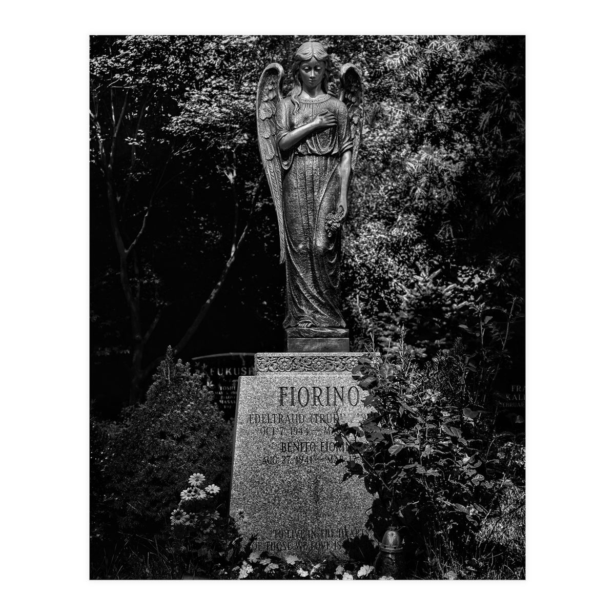 Tombstone Shadow No 18 (Print Only)