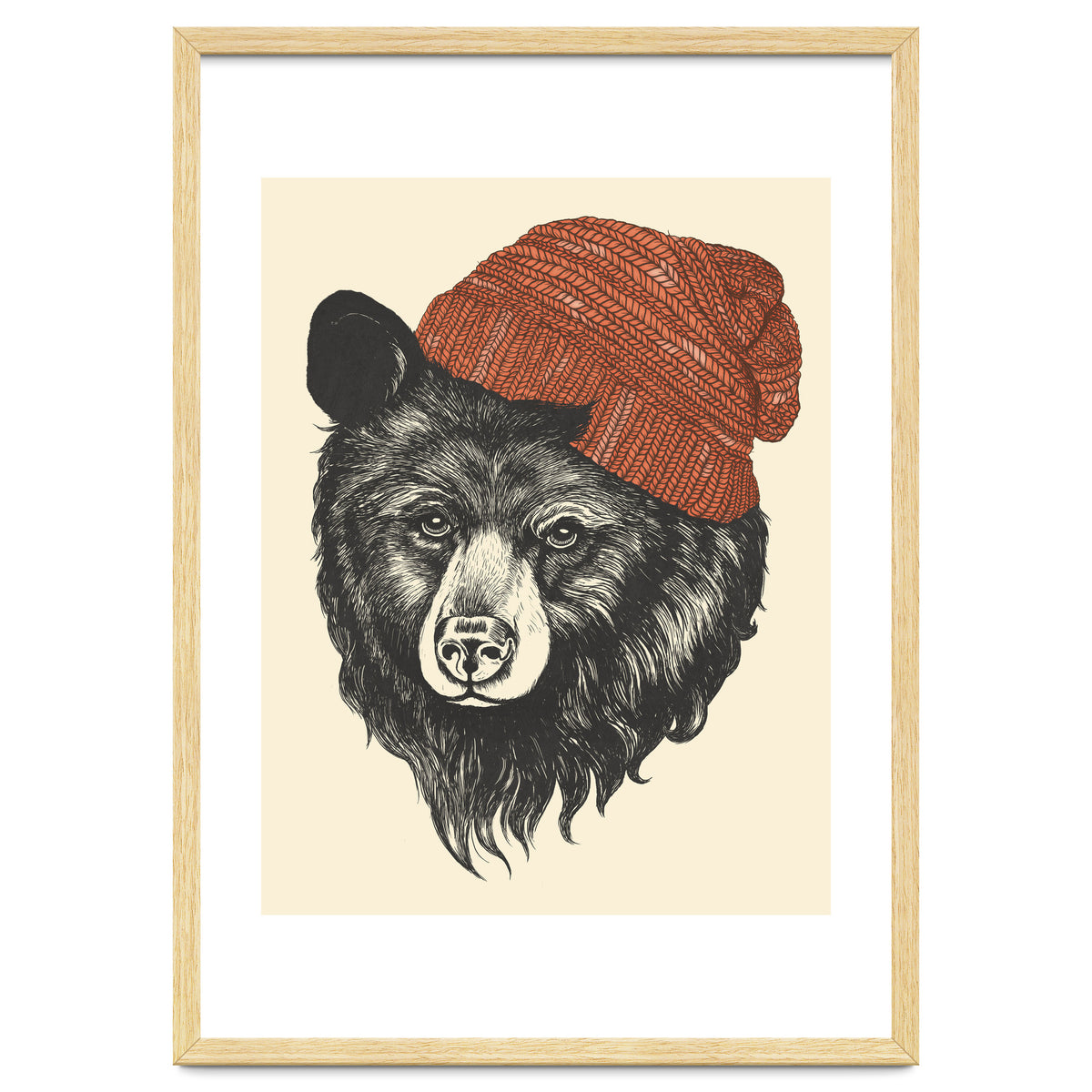 Zissou The Bear