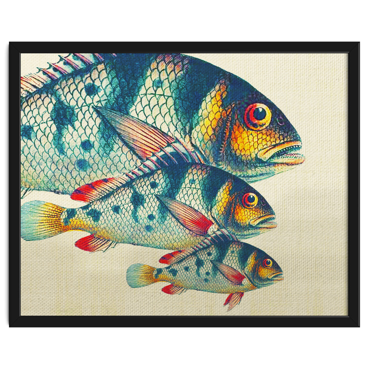 Fish Classic Designs 3