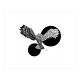 Doodle 100: Doodlefy Owl (Print Only) thumbnail