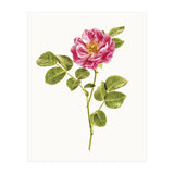 Cc Roses 06 (Print Only) thumbnail