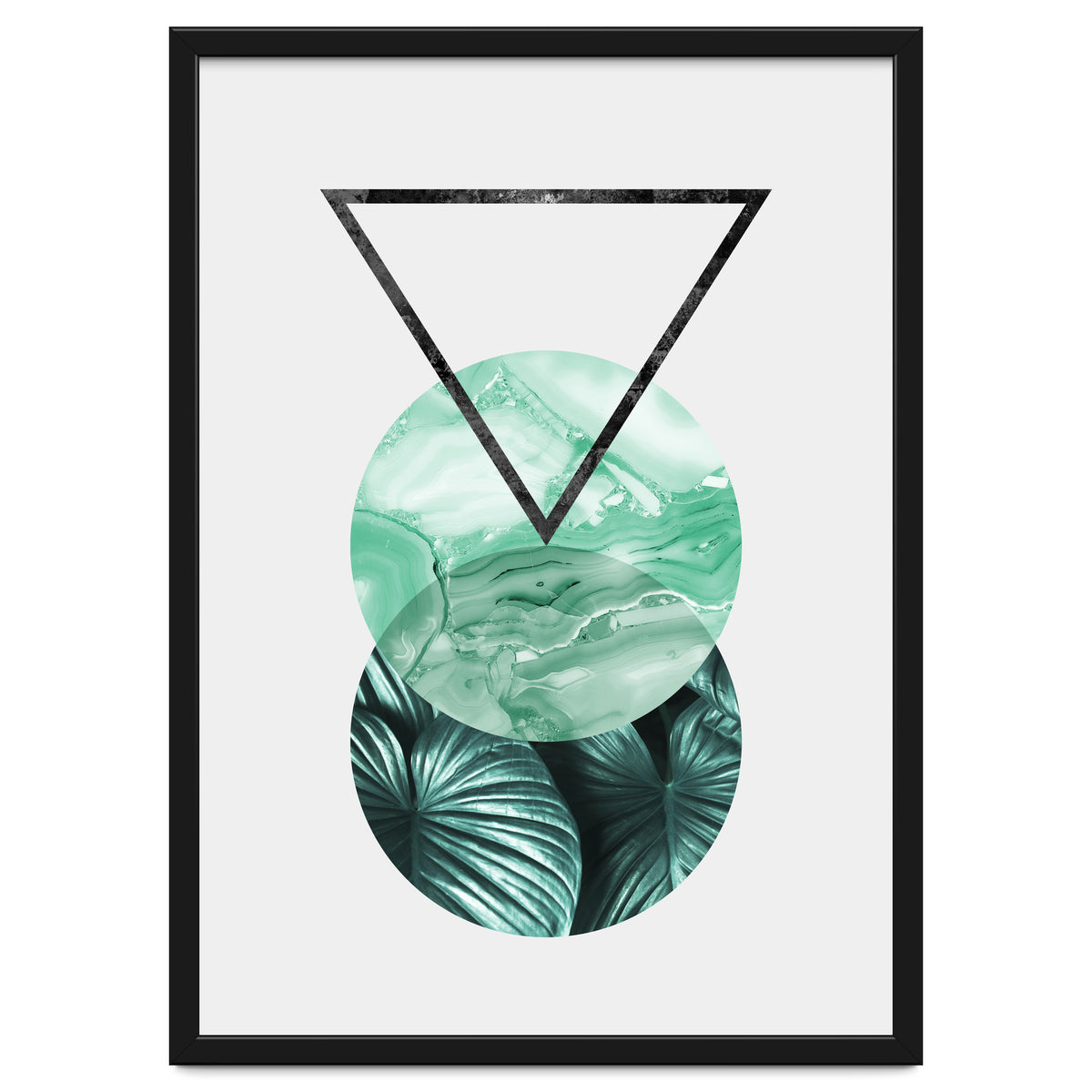 Botanical and geometric II