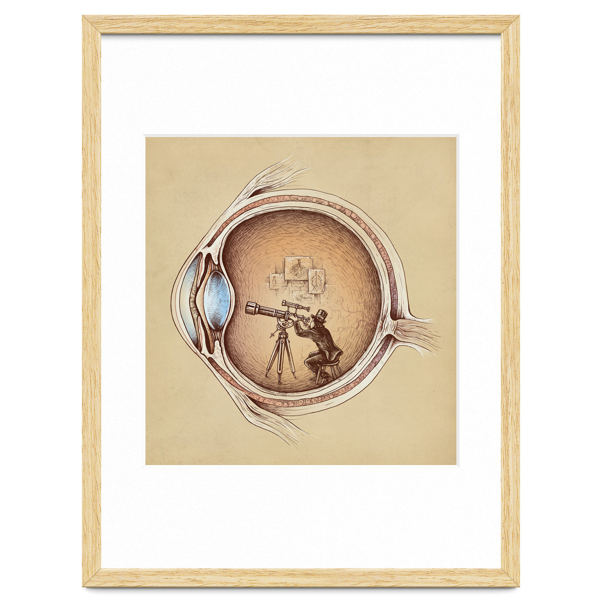 Extraordinary Observer