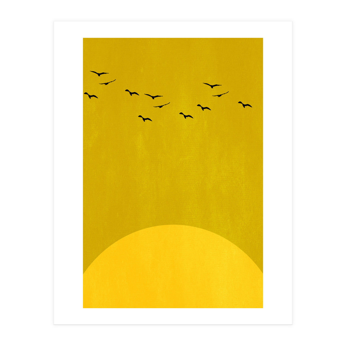 Sundance (Print Only)