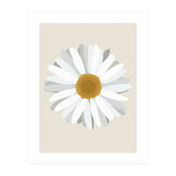 Daisy (Print Only) thumbnail