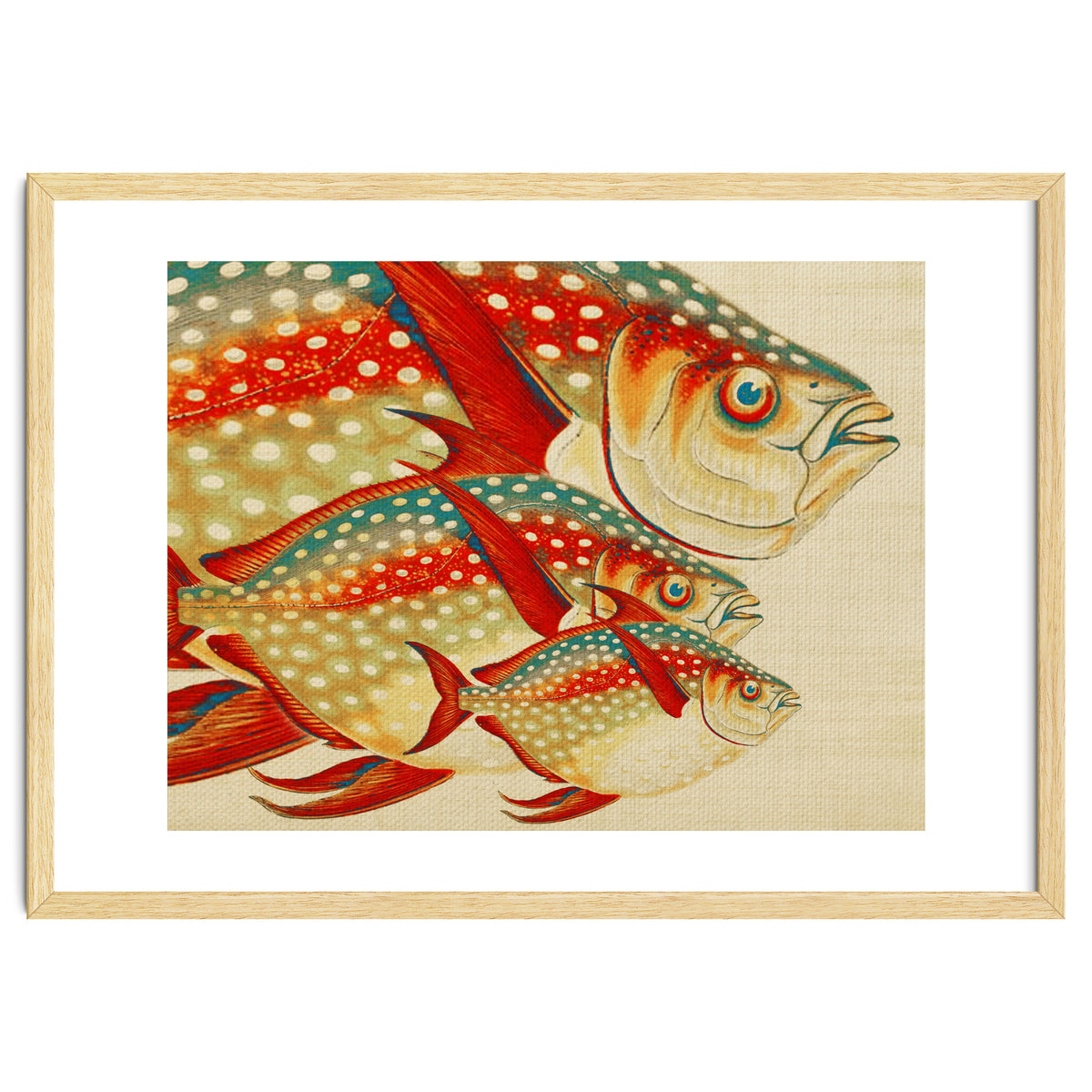 Fish Classic Designs 1