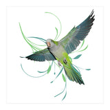 Flying quaker parrot (Print Only) thumbnail