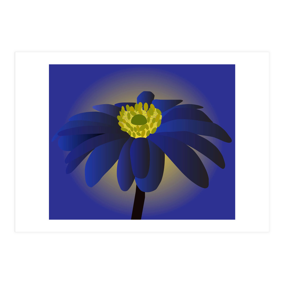 Anemone Blanda Flower Art (Print Only)