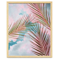 Palms + Sky