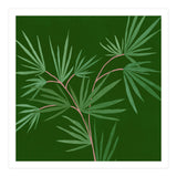 Abstract Palm (Print Only) thumbnail