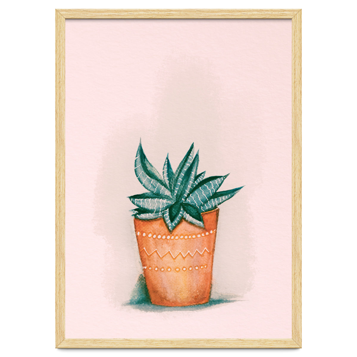 Aloe in orange pot