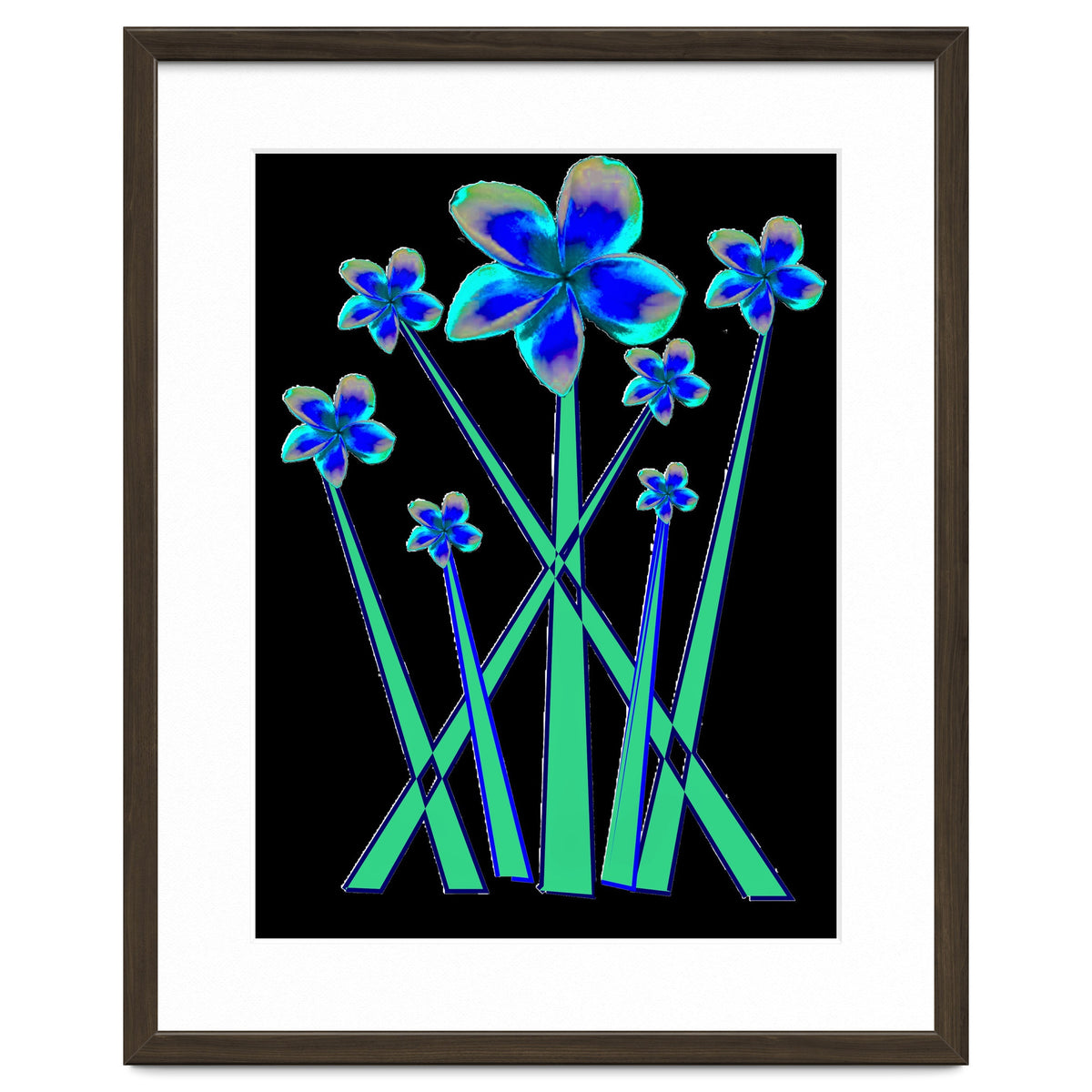 Blue flowers on black.