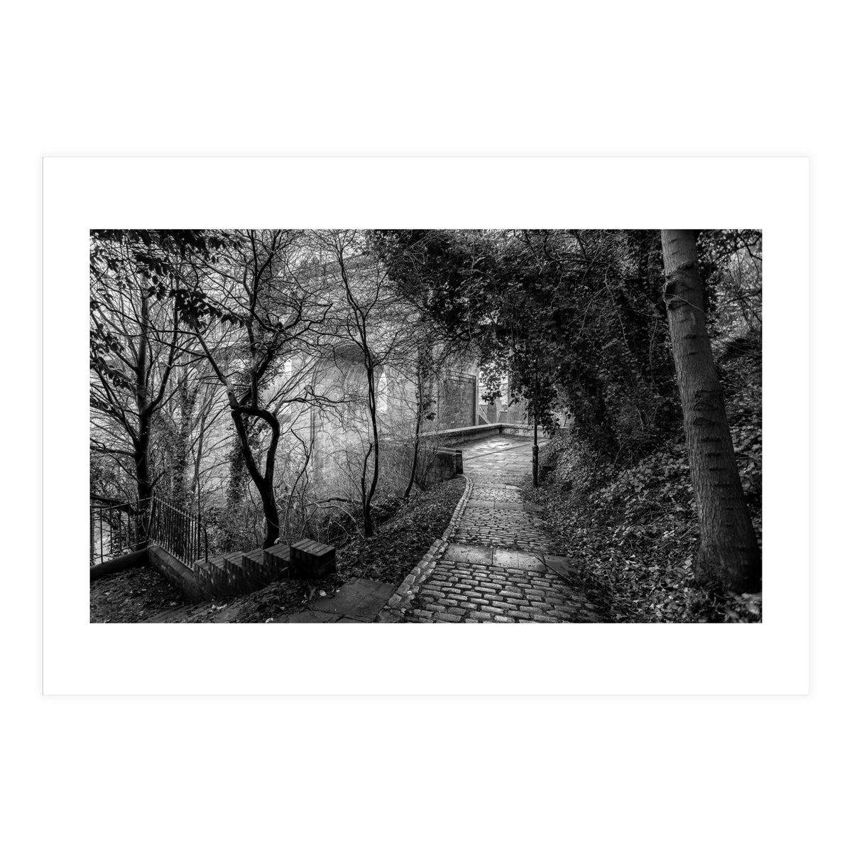 Monochrome path (Print Only)
