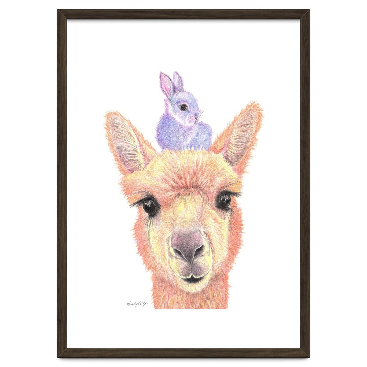 Alpaca and Bunny
