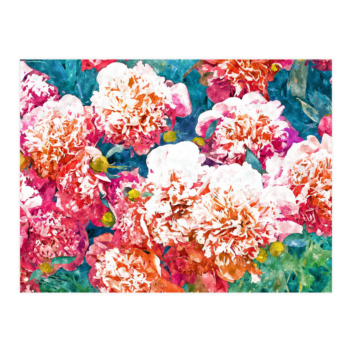 Blossoming Love (Print Only)