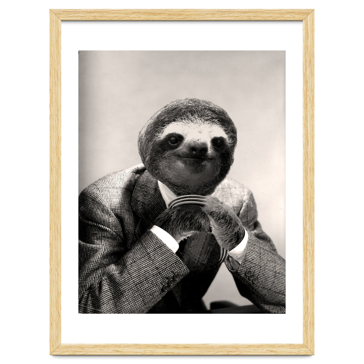 Gentleman Sloth 3
