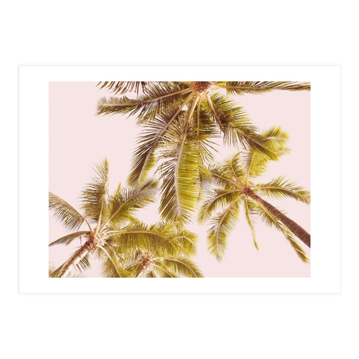 Blush Pink Boho Palm Trees (Print Only)
