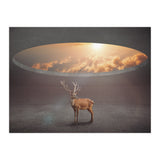 Display Ring (Print Only) thumbnail