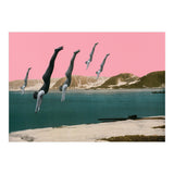 Dive (Print Only) thumbnail
