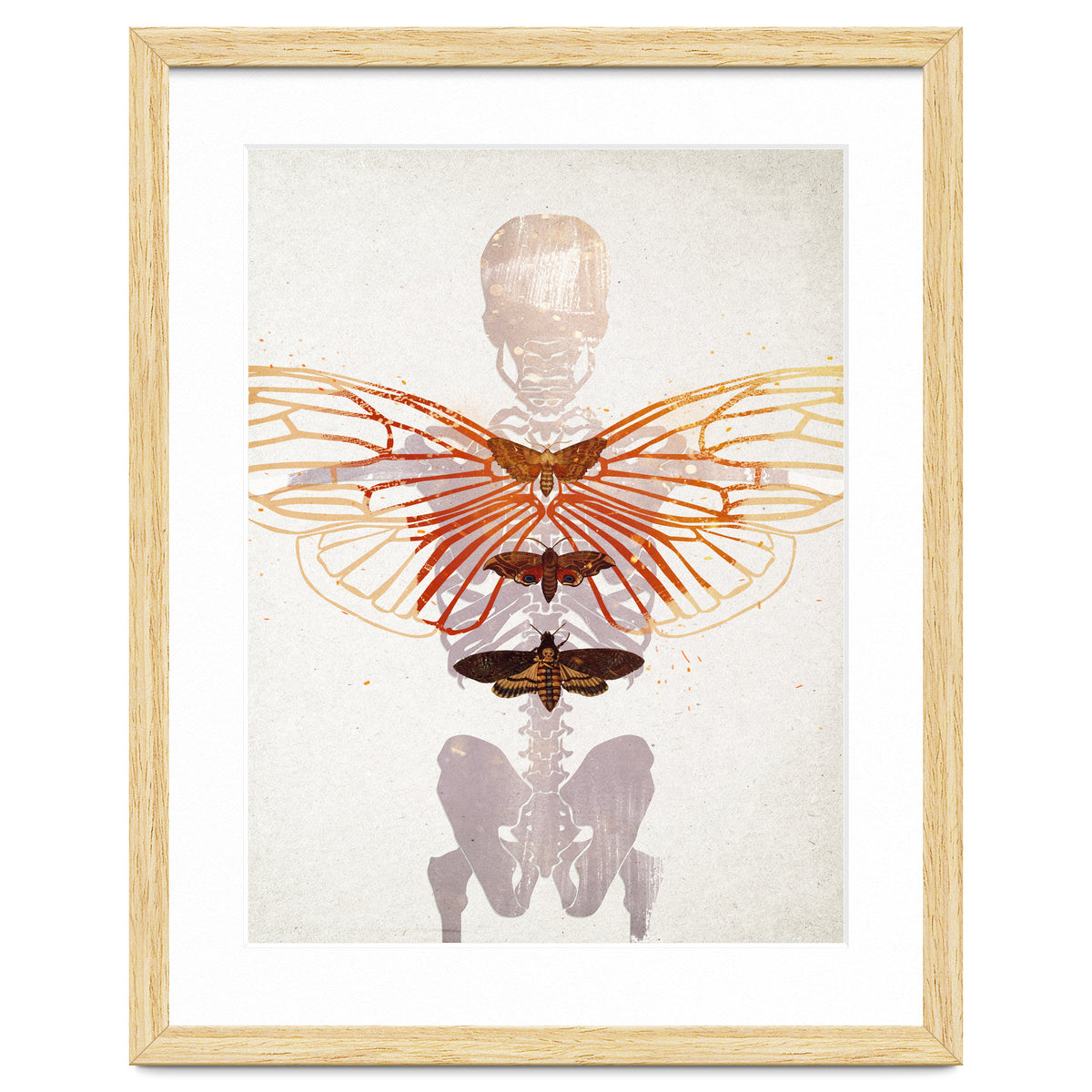 Ikarus - Like a Moth to the Flame