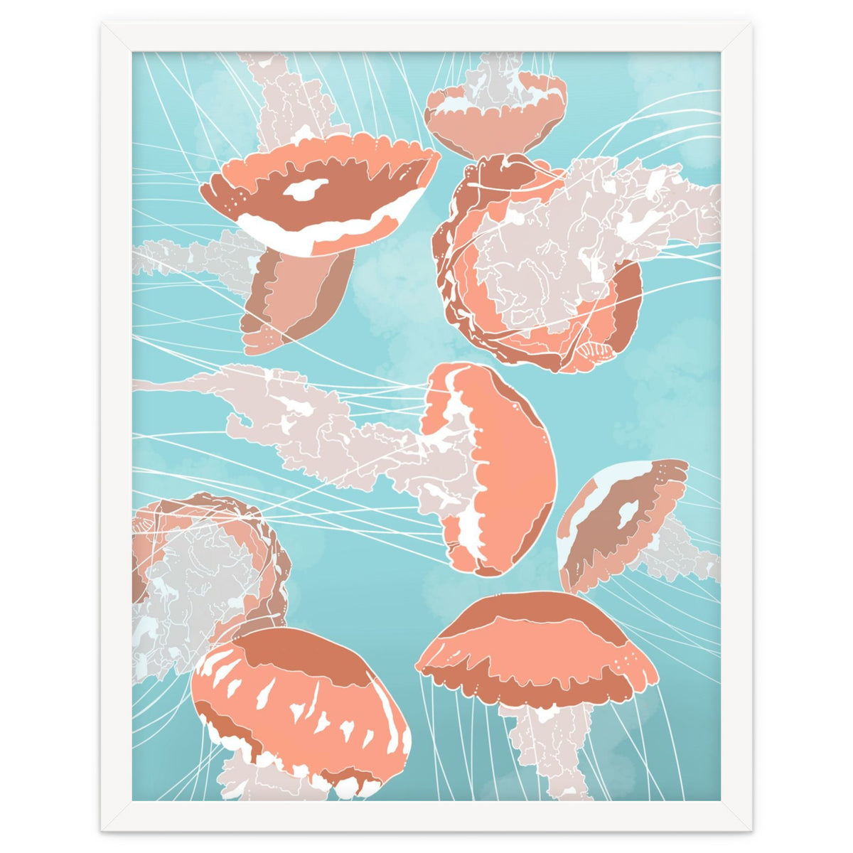 Jellyfish
