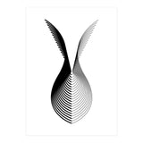 Wings_White (Print Only) thumbnail