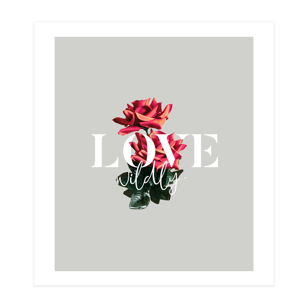 Love Wildly (Print Only)