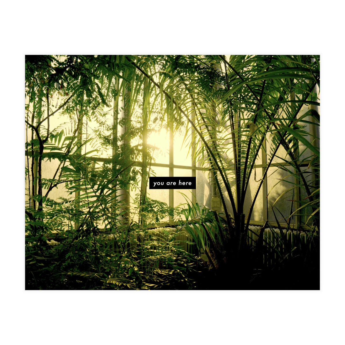 you are here - Nature Photography -  (Print Only)