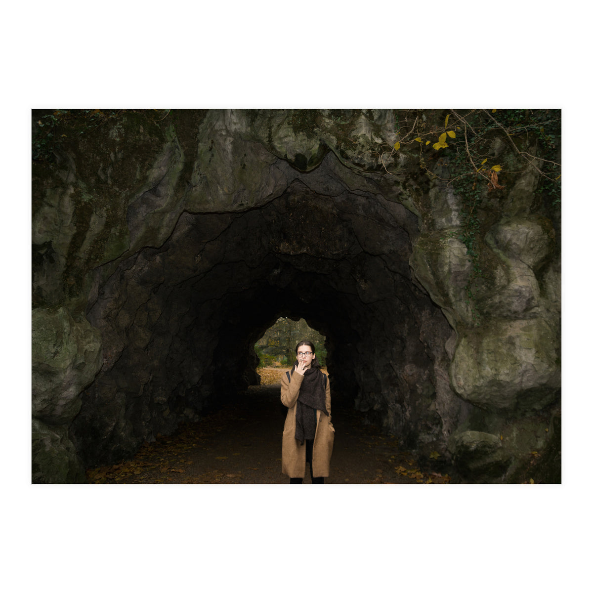 Transition from Summer to Winter (Print Only)