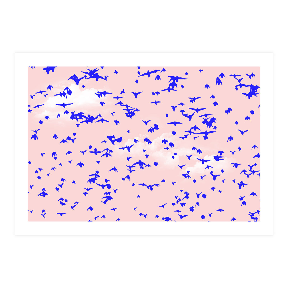 The Right To Fly (Print Only)