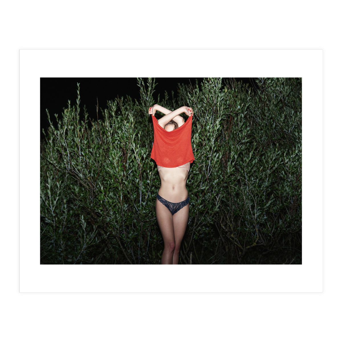 Pomegranate (Print Only)