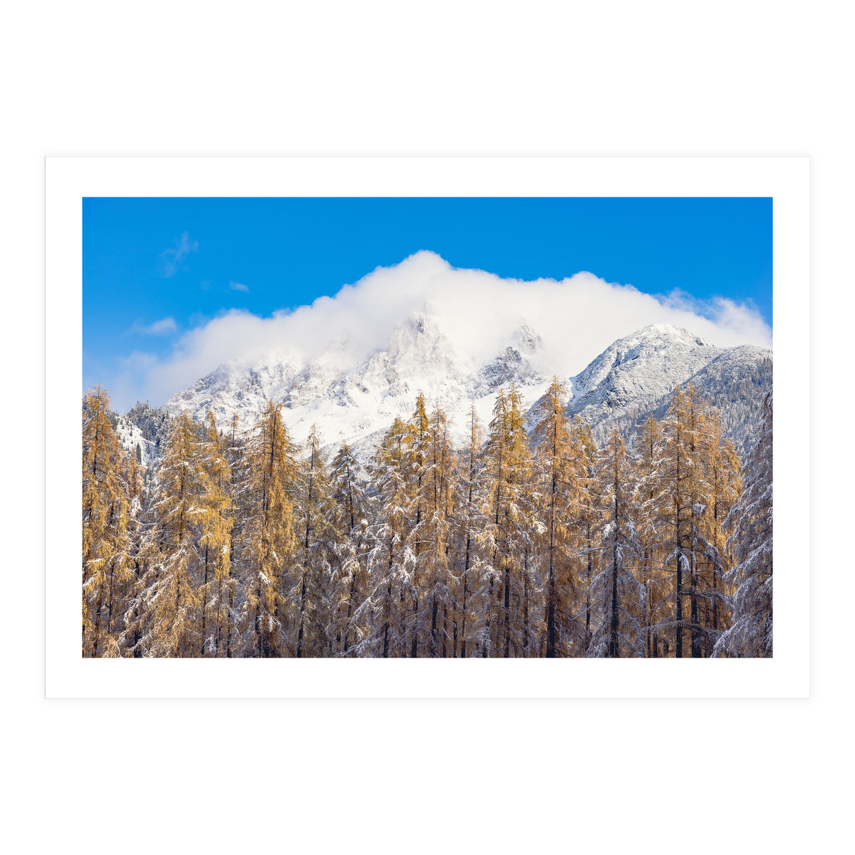 Cloudy Crown (Print Only)