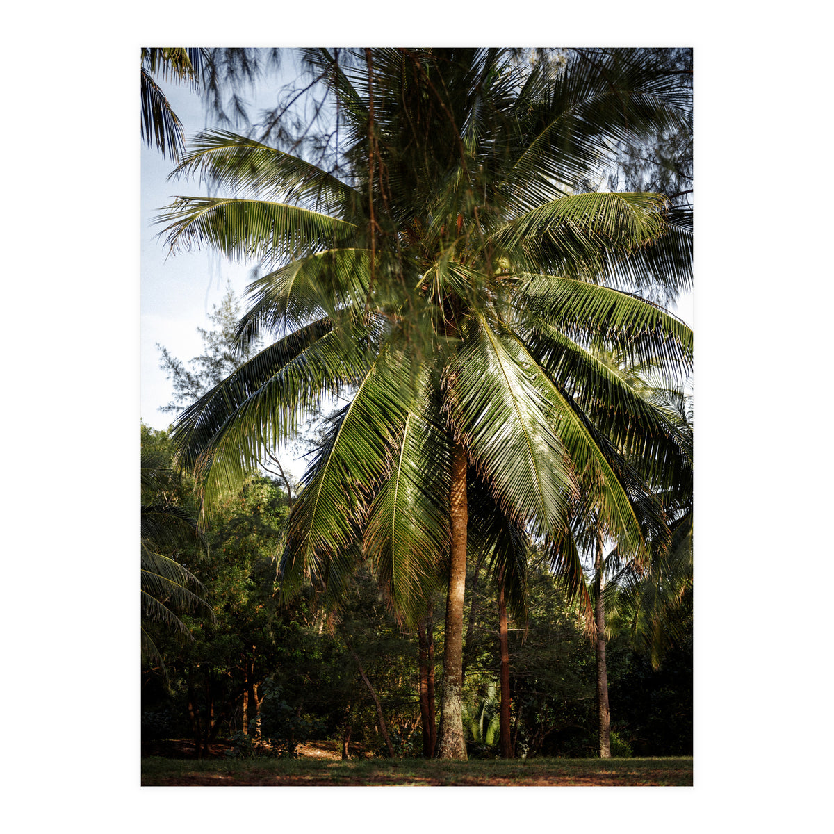 Vacation Postcard (Print Only)