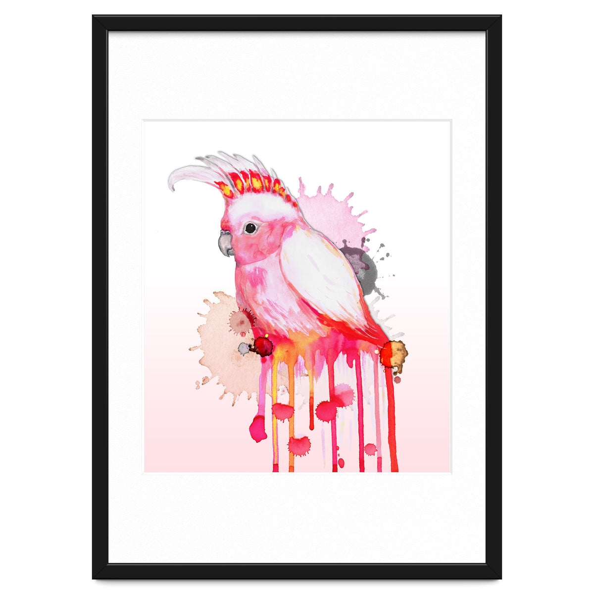 Major Mitchell's cockatoo