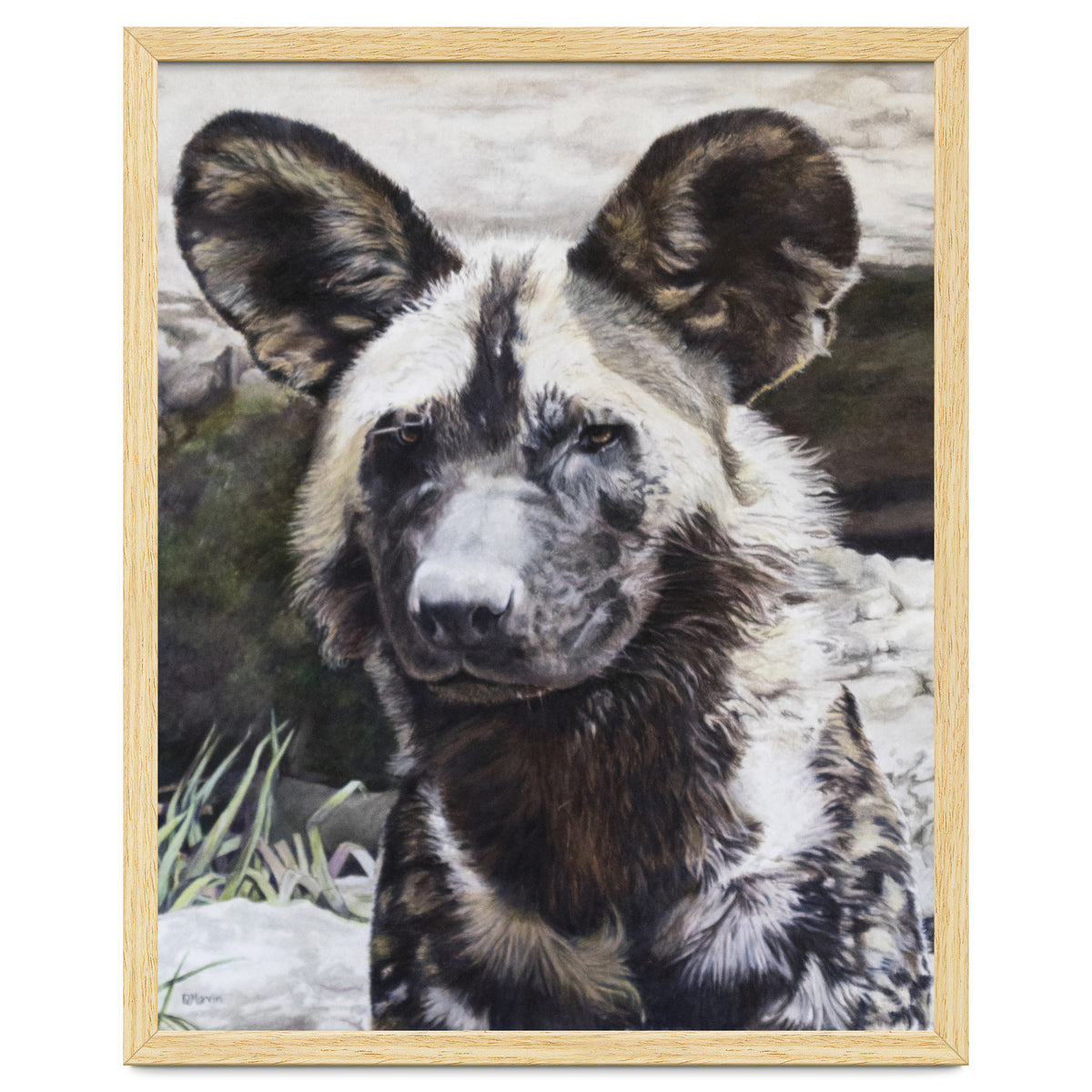 African Painted Dog II