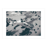 Found Out (Print Only) thumbnail