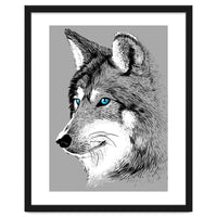 Sketch Wolf